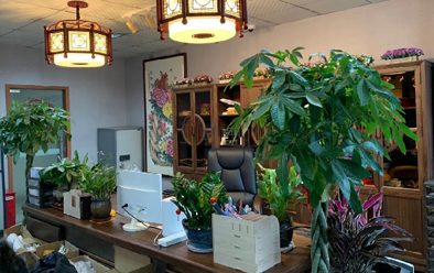 日諾衛生紙批發 日諾貿易簡介 日諾衛生紙批發 日諾貿易簡介